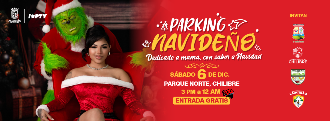 Parking Navideño