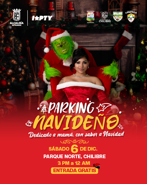 Parking Navideño